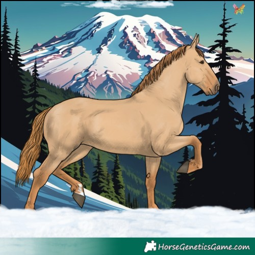 Horse Color:Red Dun 