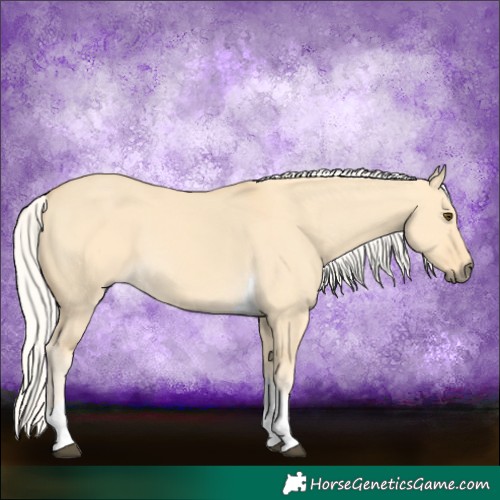 Horse Color:Silver Buckskin Dun Tobiano