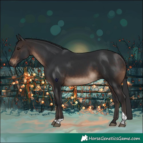 Horse Color:Brown Tobiano Rabicano