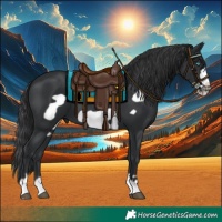 Horse Color:Black Frame 