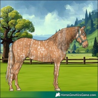 Horse Color:Silver Amber Champagne Pearl Dun 