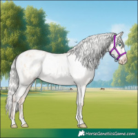 Horse Color:Silver Amber Champagne Pearl Dun Tobiano Varnish Rabicano and Silver Amber Champagne Pearl Dun Tobiano Varnish Rabicano