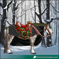 Horse Color:Silver Bay Chinchilla Dun Splash Tobiano Appaloosa Rabicano and Liver Red Dun Tobiano Appaloosa Rabicano