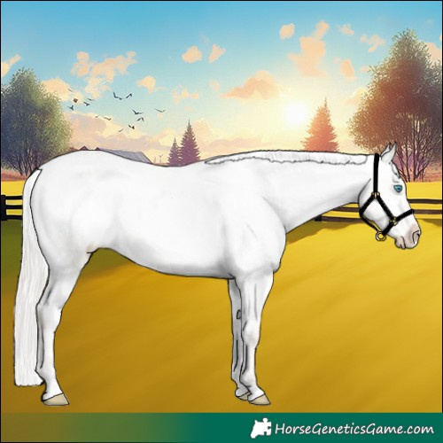 Horse Color:Silver Amber Champagne Pearl Dun Tobiano Appaloosa Rabicano  and Silver Amber Champagne Dun Tobiano Appaloosa Rabicano 