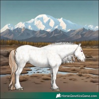 Horse Color:Silver Amber Champagne Pearl Dun Tobiano Appaloosa Rabicano  and Gold Champagne Pearl Dun Tobiano Appaloosa Rabicano 