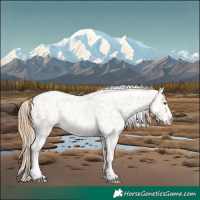 Horse Color:Silver Amber Champagne Pearl Dun Tobiano Appaloosa Rabicano  and Gold Champagne Pearl Dun Tobiano Appaloosa Rabicano 