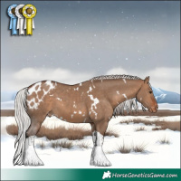 Horse Color:White Spotted Silver Brown Dun Tobiano Skewed Appaloosa 