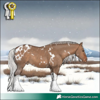Horse Color:White Spotted Silver Brown Dun Tobiano Skewed Appaloosa