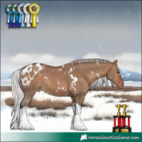 Horse Color:White Spotted Silver Brown Dun Tobiano Skewed LP Spotted 