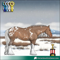 Horse Color:White Spotted Silver Brown Dun Tobiano Skewed LP Spotted 