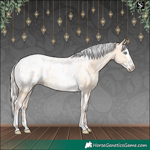 Horse Color:Silver Amber Champagne Pearl Dun Tobiano Appaloosa Rabicano  and Silver Amber Champagne Pearl Dun Splash Tobiano Appaloosa Rabicano 