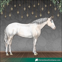 Horse Color:Silver Amber Champagne Pearl Dun Tobiano Appaloosa Rabicano  and Silver Amber Champagne Pearl Dun Splash Tobiano Appaloosa Rabicano 