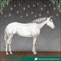 Horse Color:Silver Amber Champagne Pearl Dun Tobiano Blanket Rabicano  and Silver Amber Champagne Pearl Dun Splash Tobiano Blanket Rabicano 