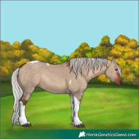 Horse Color:Silver Brown Dun Tobiano Rabicano