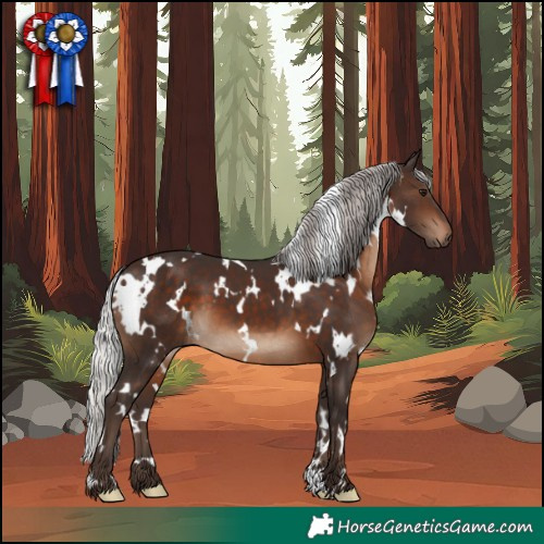 Horse Color:White Spotted Silver Brown 