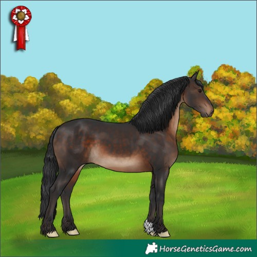Horse Color:Brown 