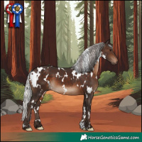 Horse Color:White Spotted Silver Brown