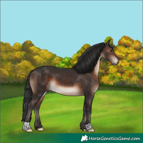 Horse Color:Brown 