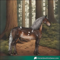 Horse Color:White Spotted Silver Brown