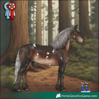 Horse Color:White Spotted Silver Brown 