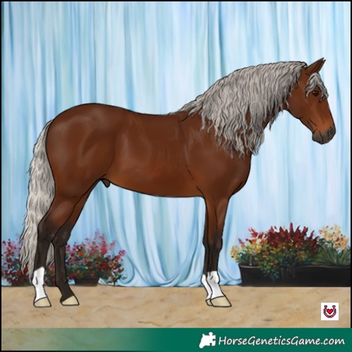 Horse Color:Gray Silver Bay