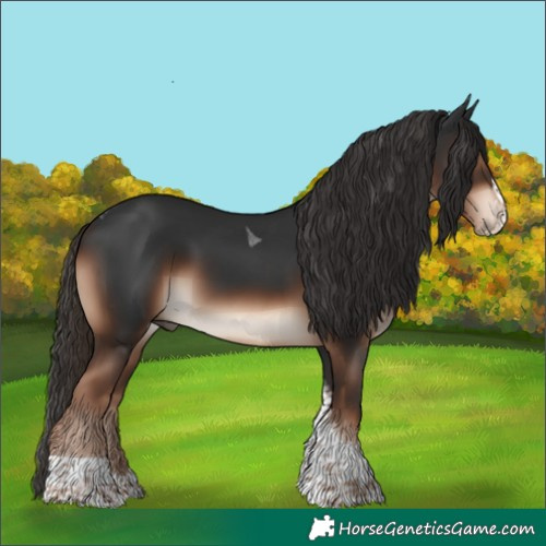 Horse Color:Liver Chestnut Splash Tobiano Rabicano