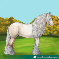 Horse Color:Silver Amber Champagne Pearl Dun Tobiano Appaloosa Rabicano and Gray Silver Amber Champagne Pearl Dun Tobiano Appaloosa Rabicano