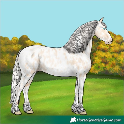 Horse Color:Silver Amber Champagne Pearl Dun Tobiano Appaloosa Rabicano  and Silver Amber Champagne Pearl Dun Tobiano Frame Appaloosa Rabicano 