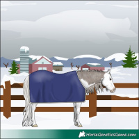 Horse Color:Silver Blue Roan Splash