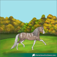 Horse Color:Powder White Silver Grullo Splash 