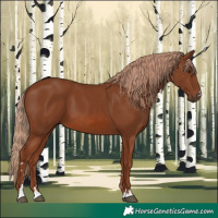 Horse Color:Chestnut 