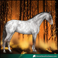 Horse Color:Liver Red Roan Sabino Splash Blanket  and Liver Red Roan Sabino Splash Blanket 