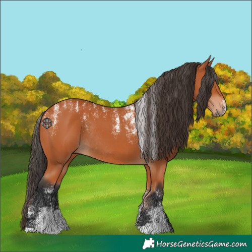 Horse Color:Powder White Bay Rabicano 