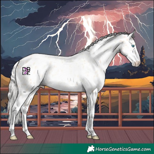 Horse Color:Silver Amber Champagne Pearl Dun Tobiano Appaloosa Rabicano  and Silver Amber Champagne Pearl Dun Tobiano Appaloosa Rabicano 