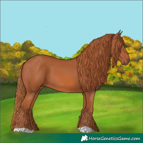 Horse Color:Chestnut 