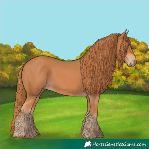 Horse Color:Chestnut 