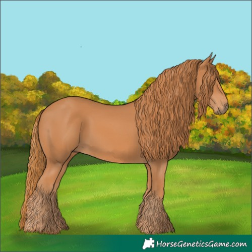 Horse Color:Chestnut 