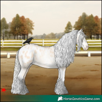 Horse Color:Silver Amber Champagne Pearl Dun Tobiano Blanket Rabicano and Silver Amber Champagne Pearl Dun Tobiano Blanket Rabicano