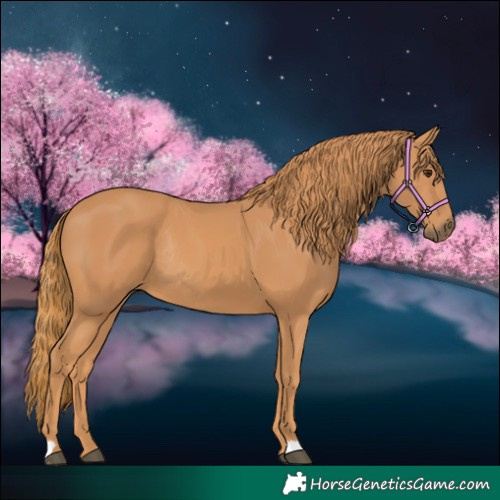 Horse Color:Chestnut Rabicano 