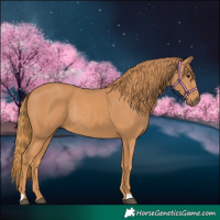 Horse Color:Chestnut Rabicano 