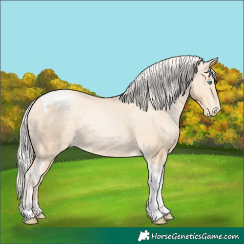 Horse Color:Silver Amber Champagne Pearl Dun Tobiano Appaloosa Rabicano and Silver Amber Champagne Pearl Dun Tobiano Appaloosa Rabicano