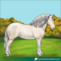 Horse Color:Silver Amber Champagne Pearl Dun Tobiano Varnish Rabicano and Silver Amber Champagne Pearl Dun Tobiano Varnish Rabicano