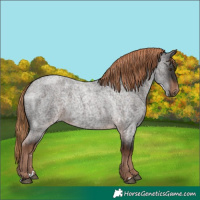 Horse Color:Liver Red Roan 