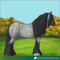 Horse Color:Blue Roan