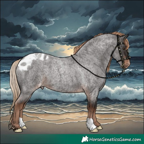 Horse Color:Liver Red Roan Skewed LP Spotted 