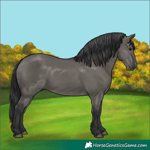 Horse Color:Grullo