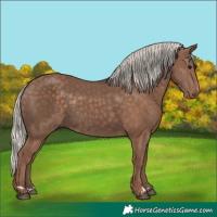 Horse Color:Silver Black 
