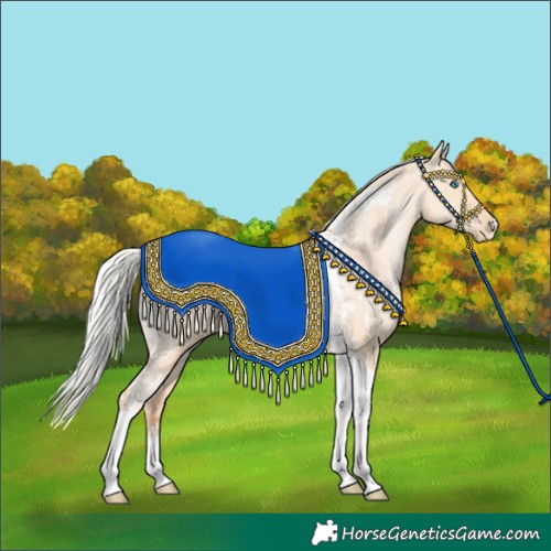Horse Color:Silver Amber Champagne Pearl Dun Tobiano Blanket Rabicano  and Silver Amber Champagne Pearl Dun Tobiano Rabicano 