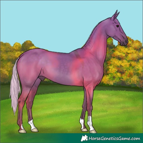 Horse Color:Silver Grullo 
