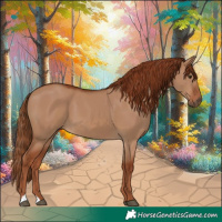 Horse Color:Red Dun